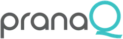 Pranaq logo